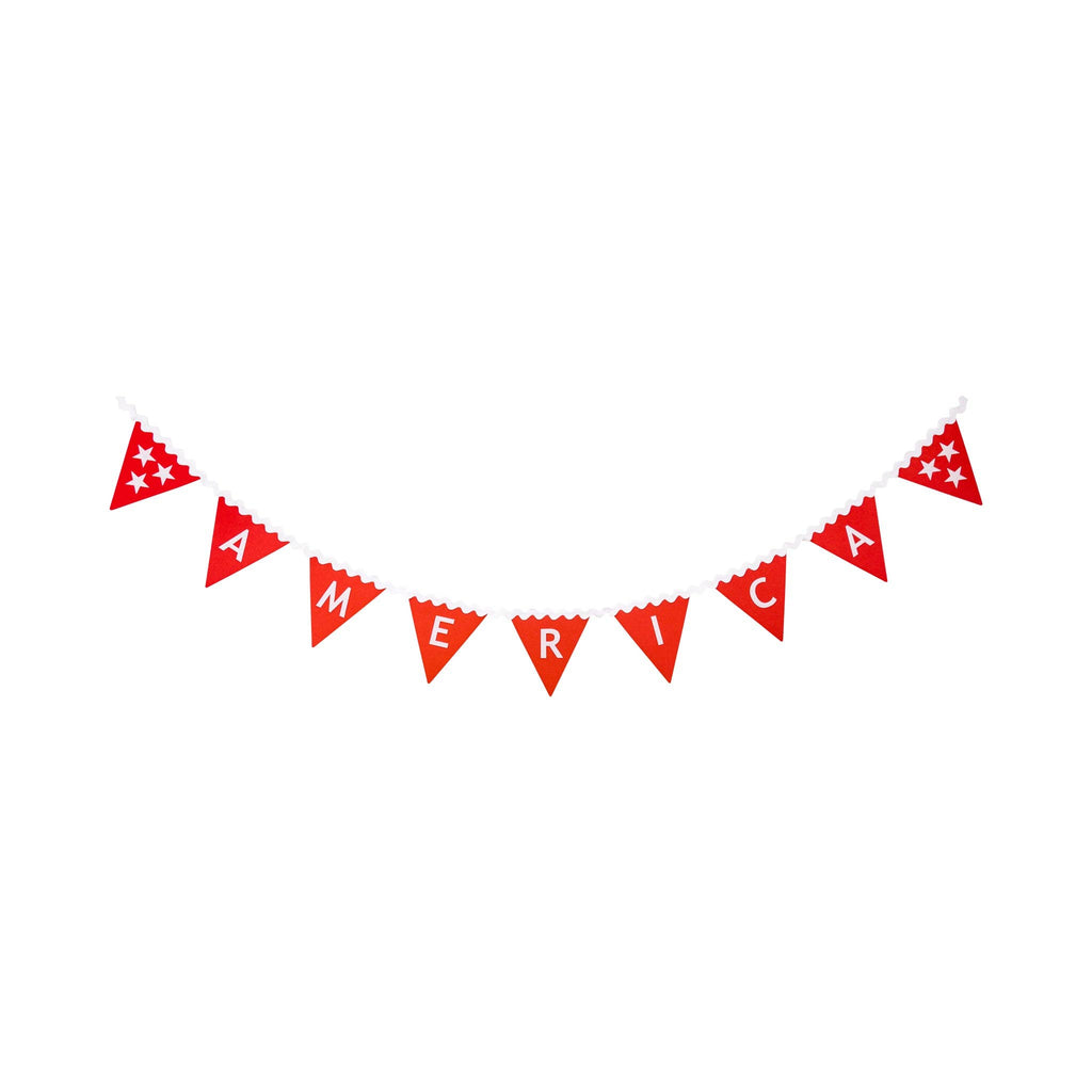 America Felt Pennant Banner