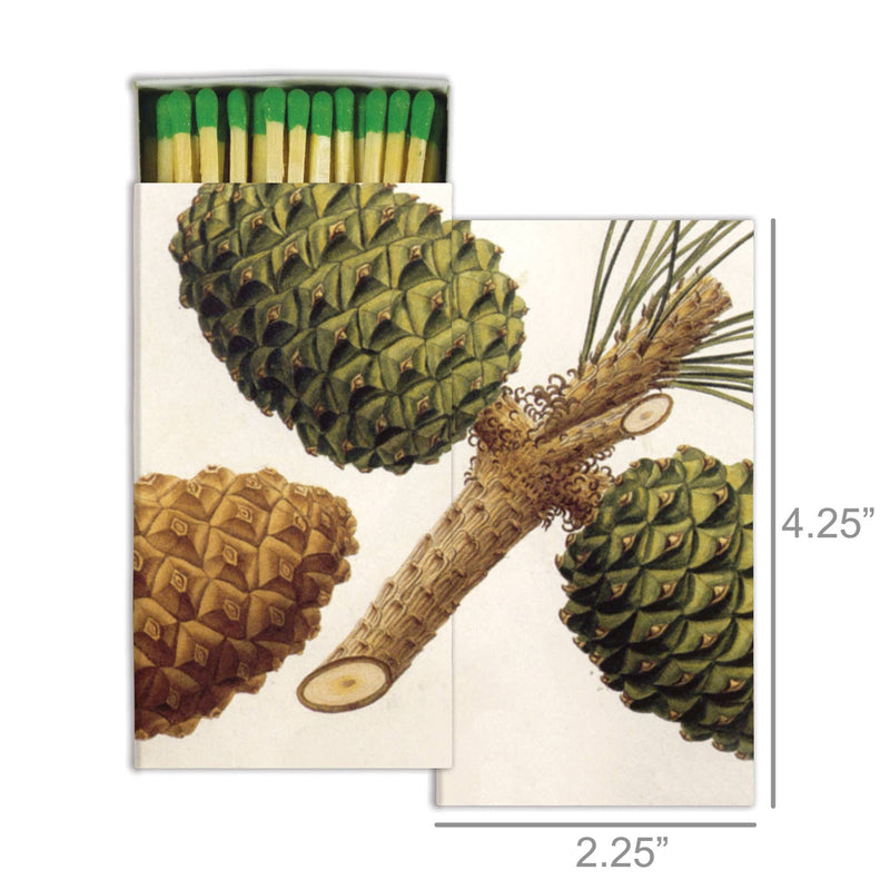 Matches - Pinecones