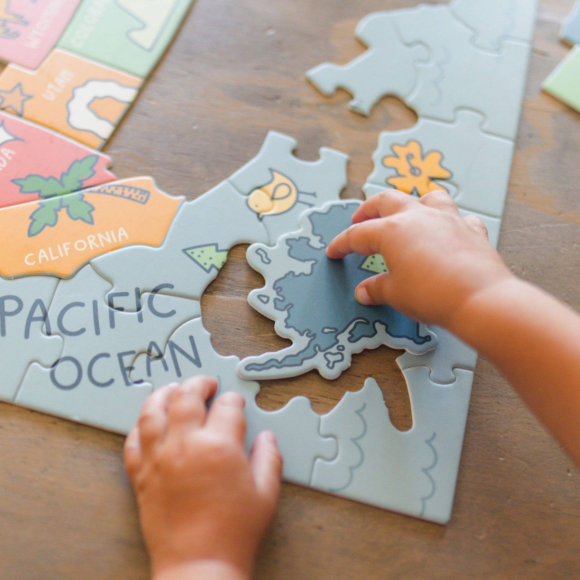 USA Jigsaw Puzzle