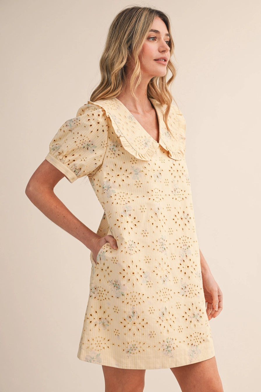 Floral Eyelet Striped Mini Dress