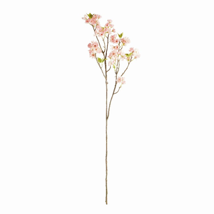 Double Cherry Blossom Branch
