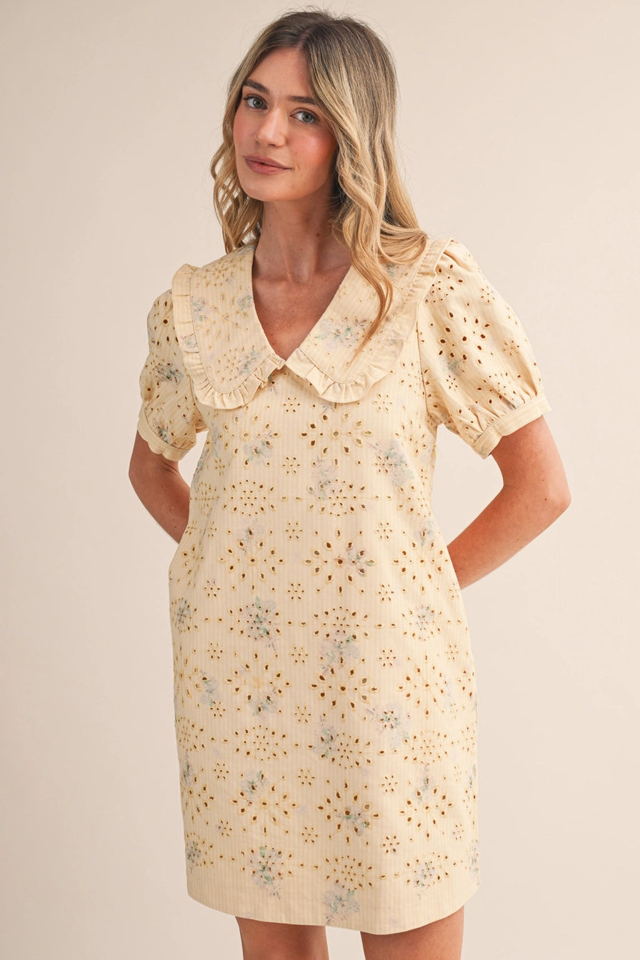 Floral Eyelet Striped Mini Dress