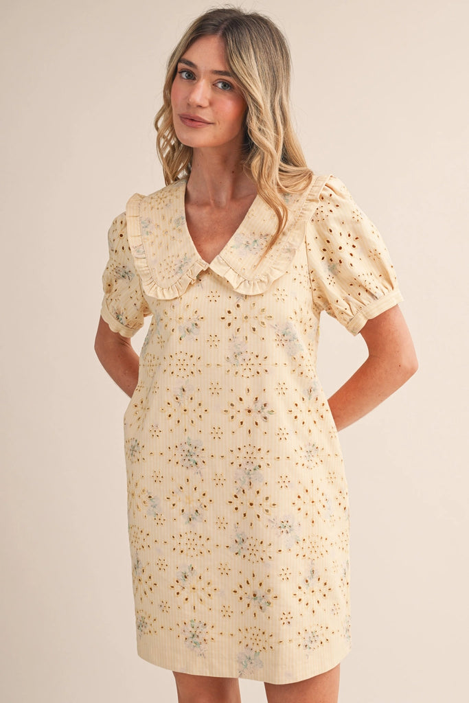 Floral Eyelet Striped Mini Dress