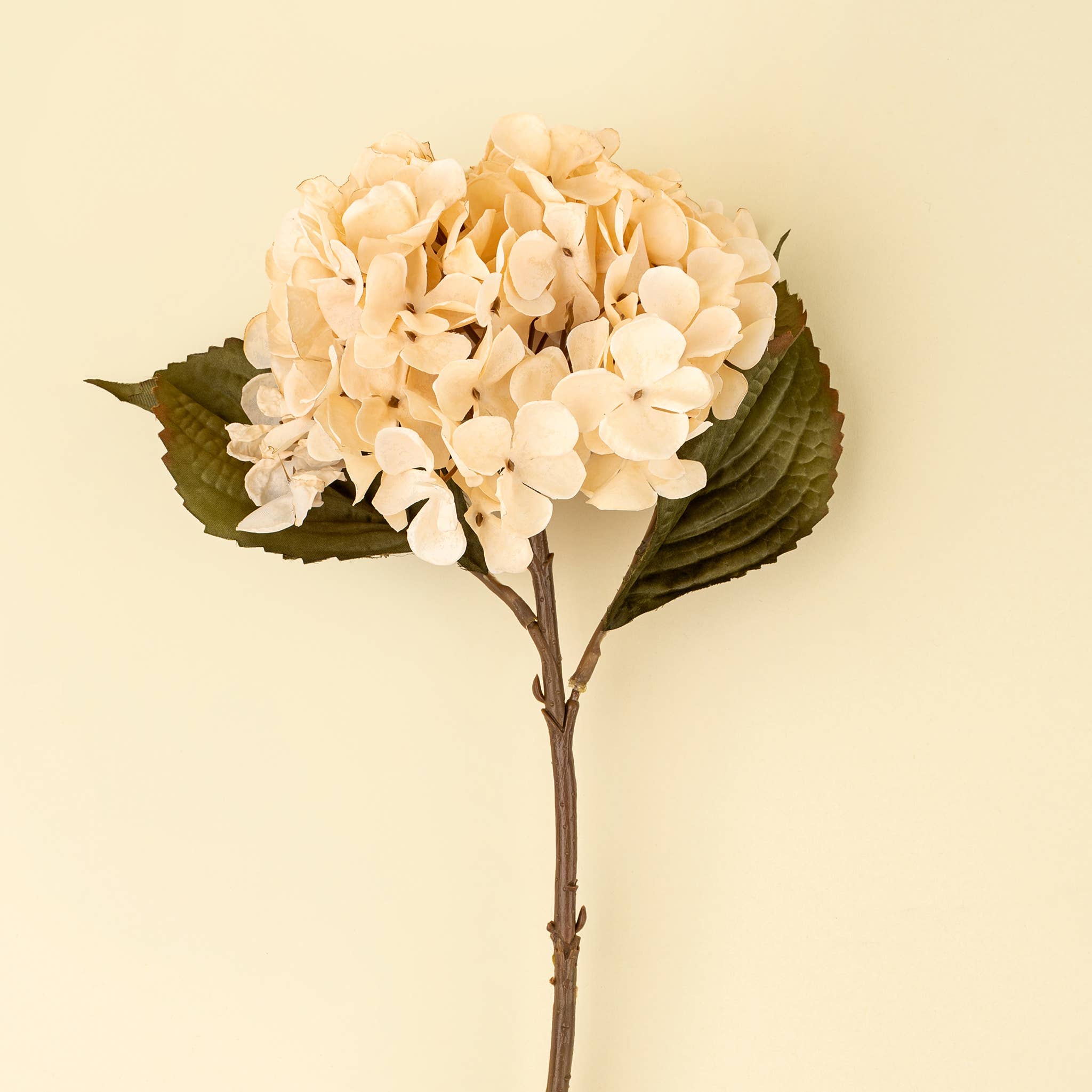 Cream Hydrangea Floral Stem