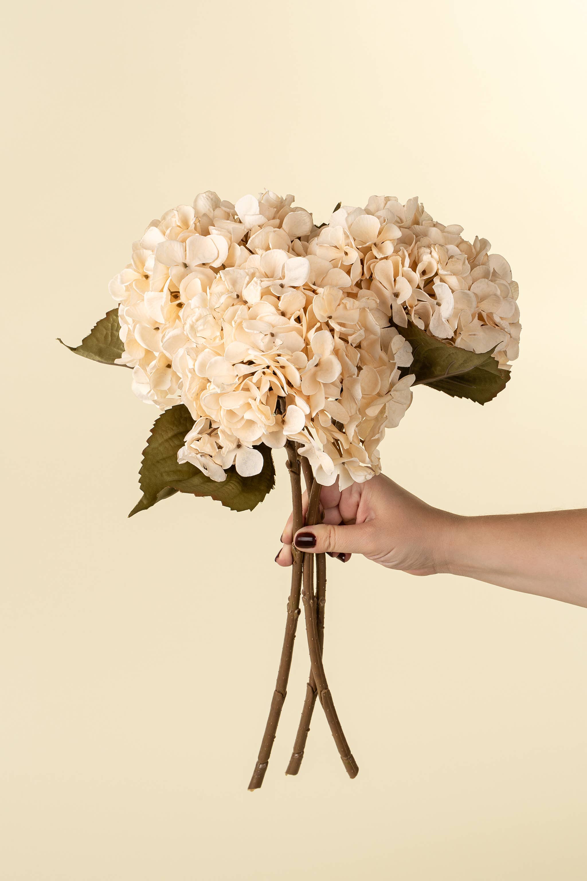 Cream Hydrangea Floral Stem