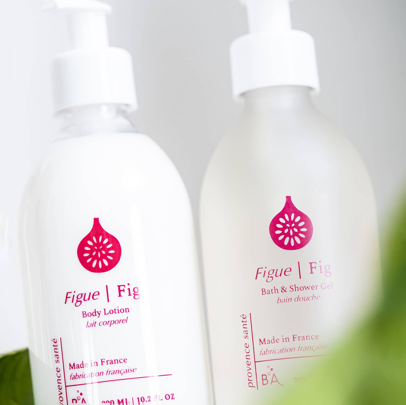 Fig Body Lotion