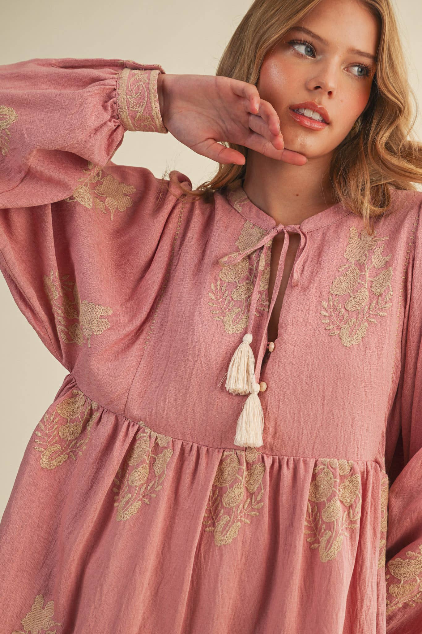 Embroidered Long Puff Sleeve Mini Dress