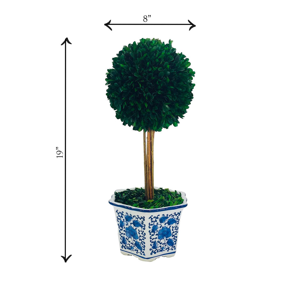 Boxwood Ball Topiary  in Blue & White Ceramic Pot