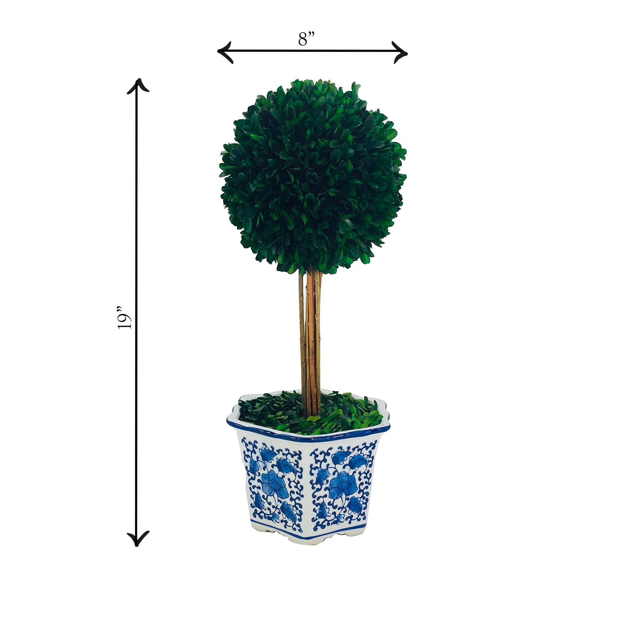 Boxwood Ball Topiary  in Blue & White Ceramic Pot