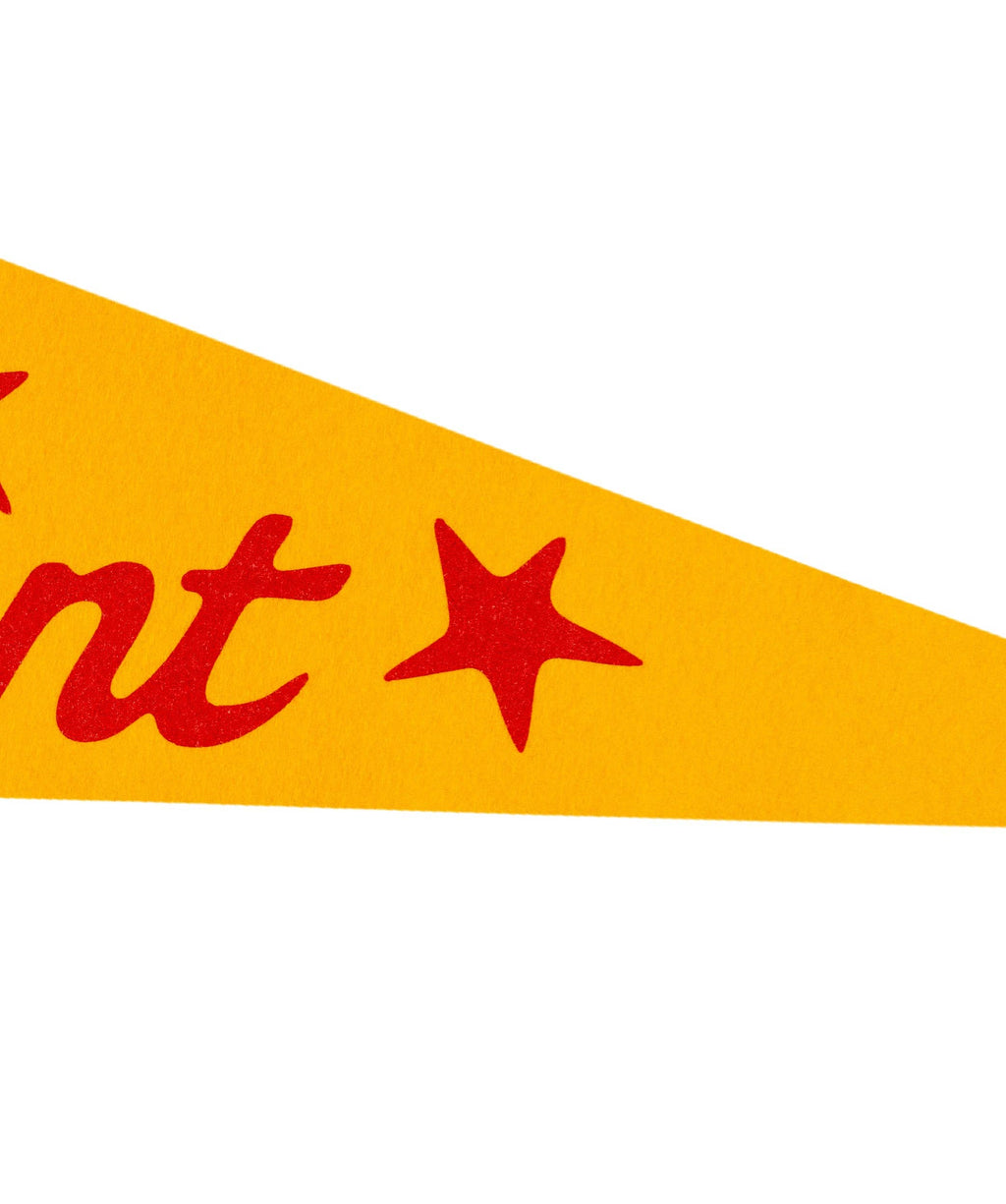 Make It Count Pennant (All Time Low x Oxford)