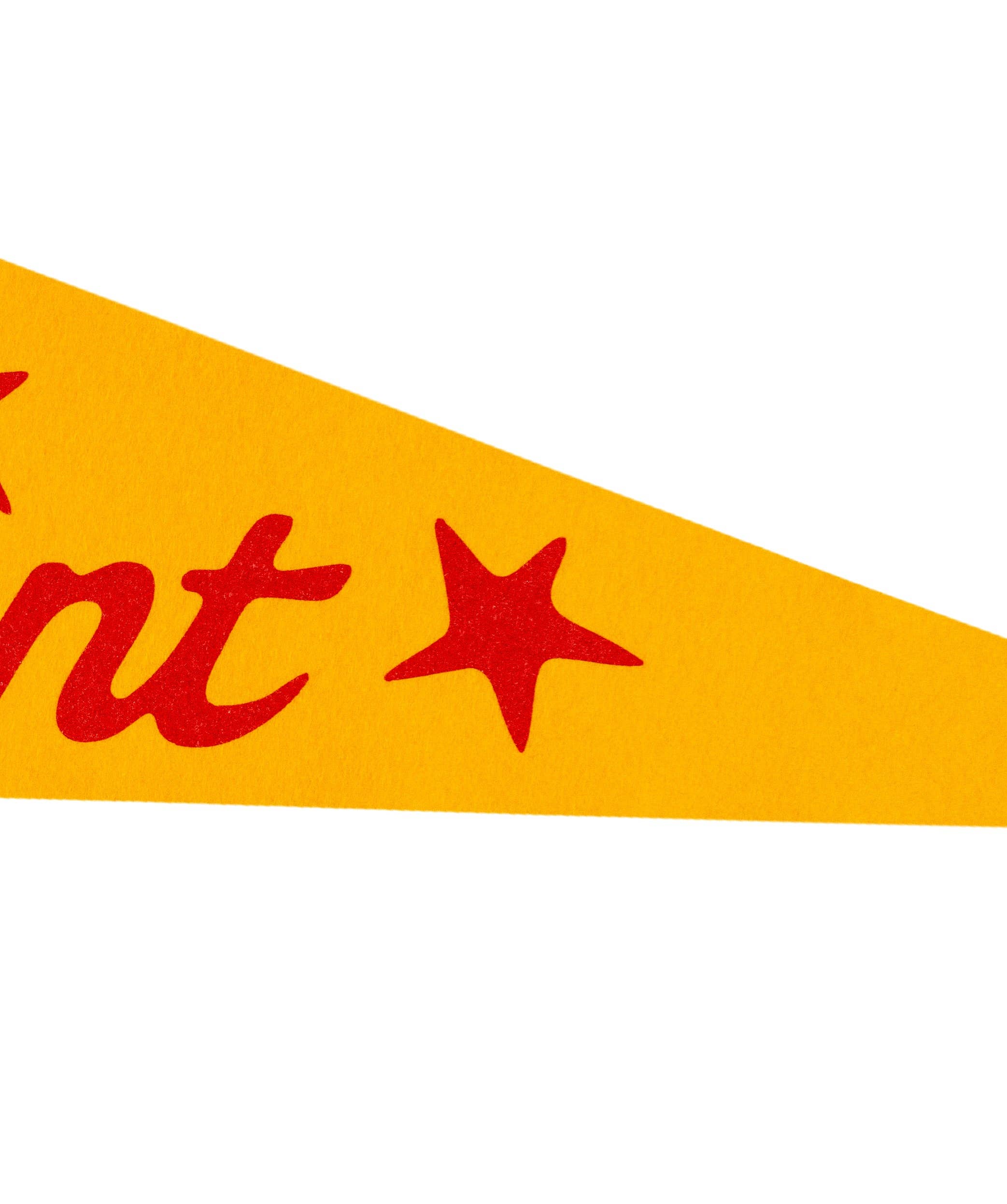 Make It Count Pennant (All Time Low x Oxford)