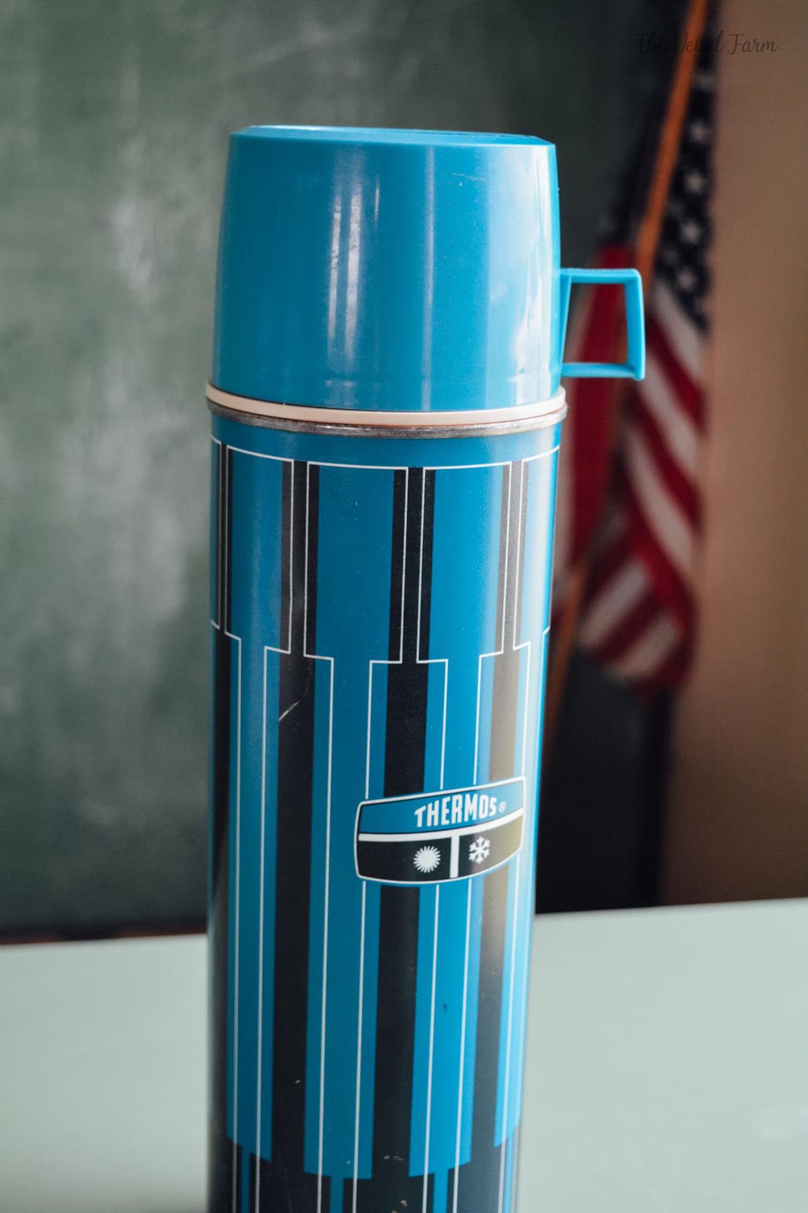 Vintage Blue Thermos