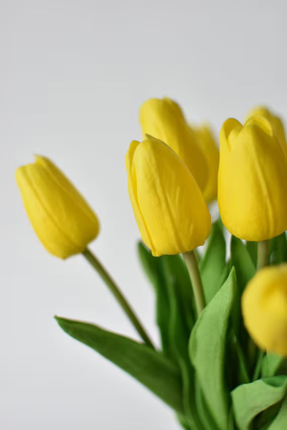 Yellow Real Touch Mini Tulip Bundle