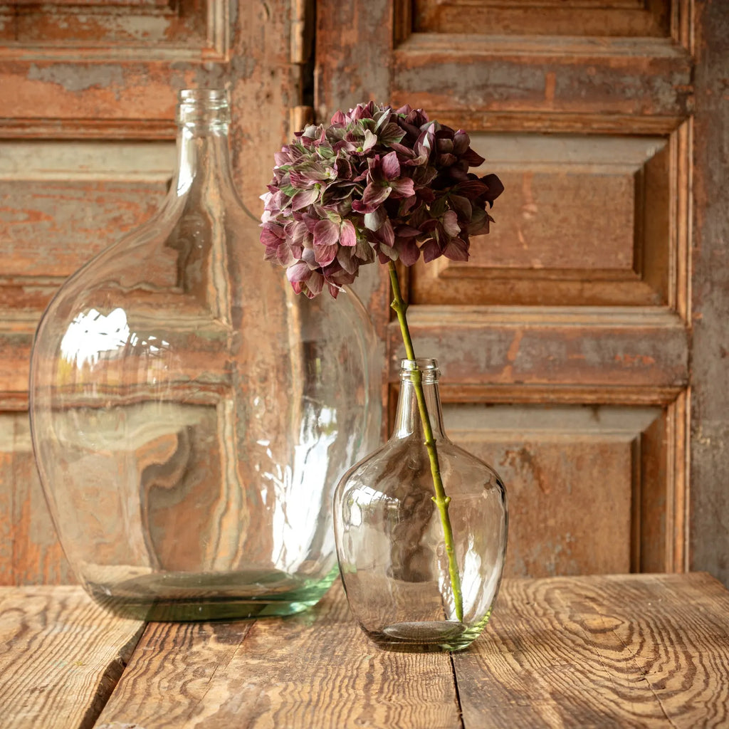 Hydrangea Burgundy