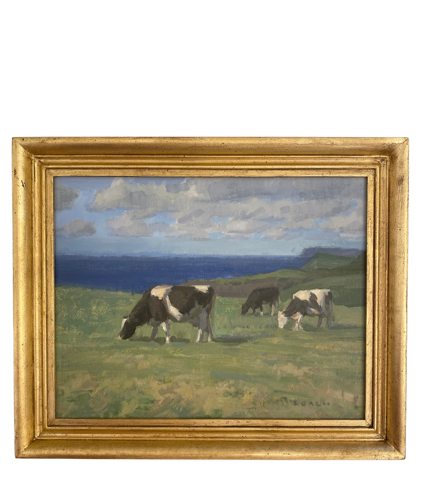 Grazing in Northern Ireland