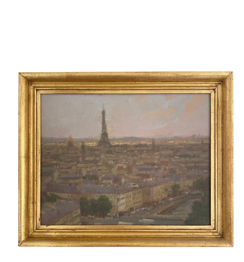 Cloudy Day Above Paris