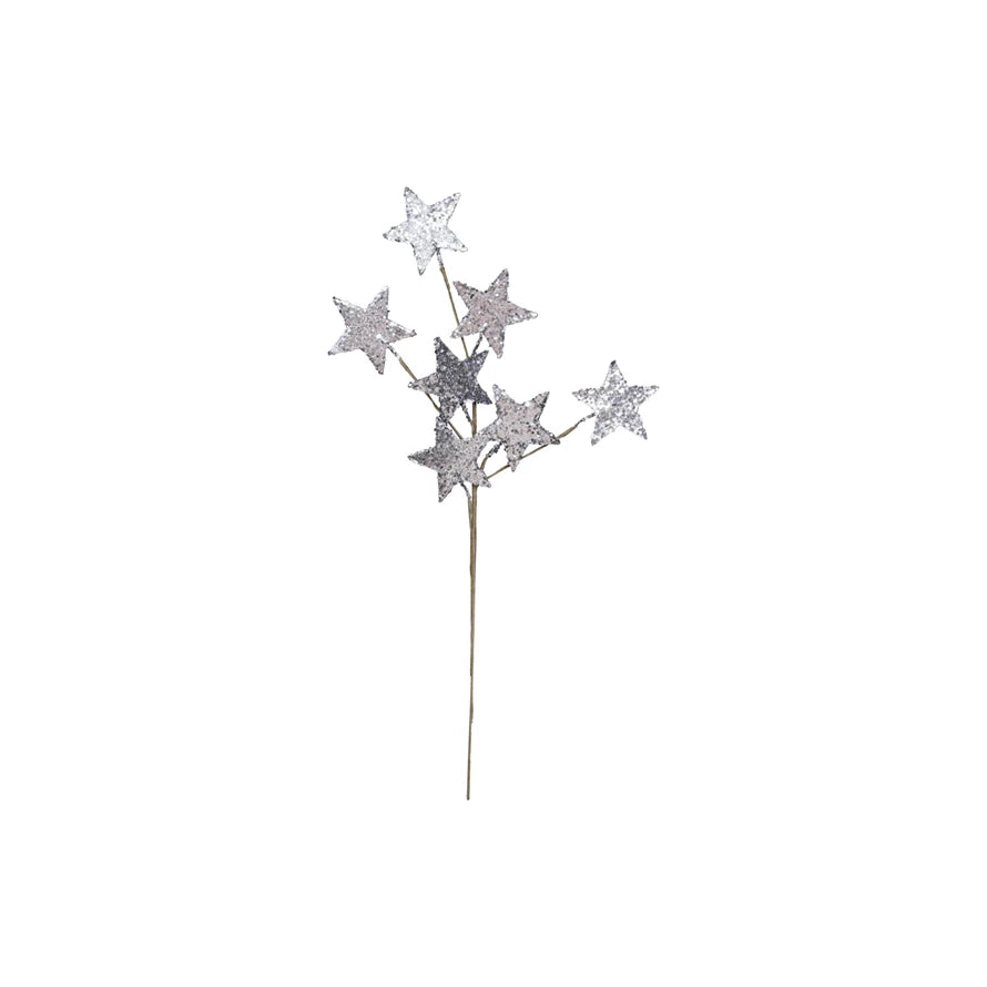 Silver Glitter Star Spray