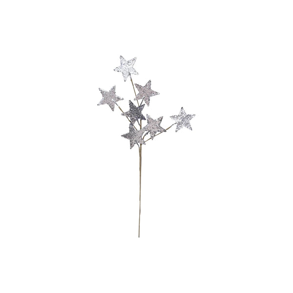 Silver Glitter Star Spray