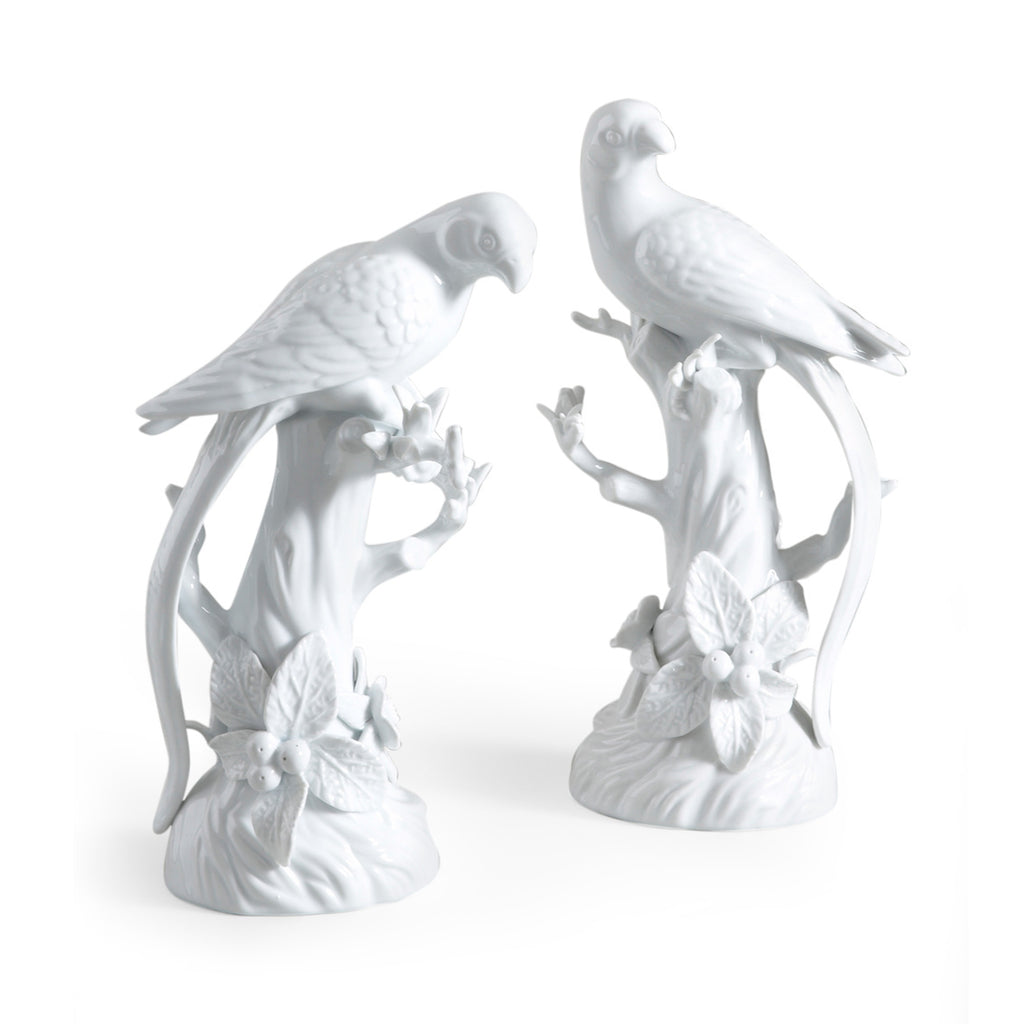 Parrot Pair