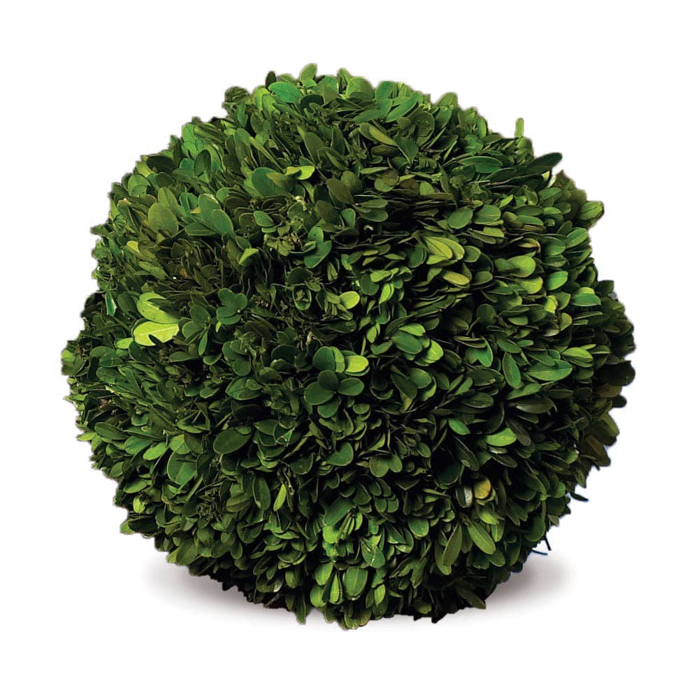 Boxwood Ball 10