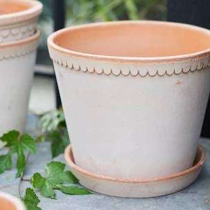 Bergs Potter Terracotta pots, assorted
