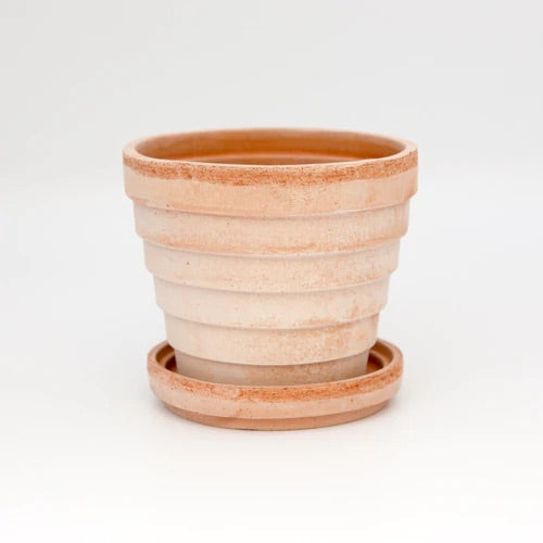 Bergs Potter Terracotta pots, assorted