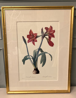 "Ever After Room" Botanical Art