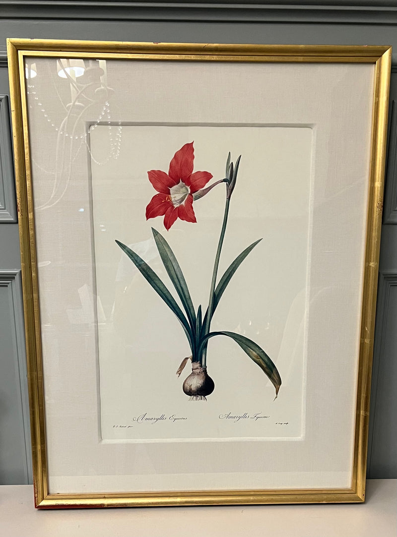 "Ever After Room" Botanical Art