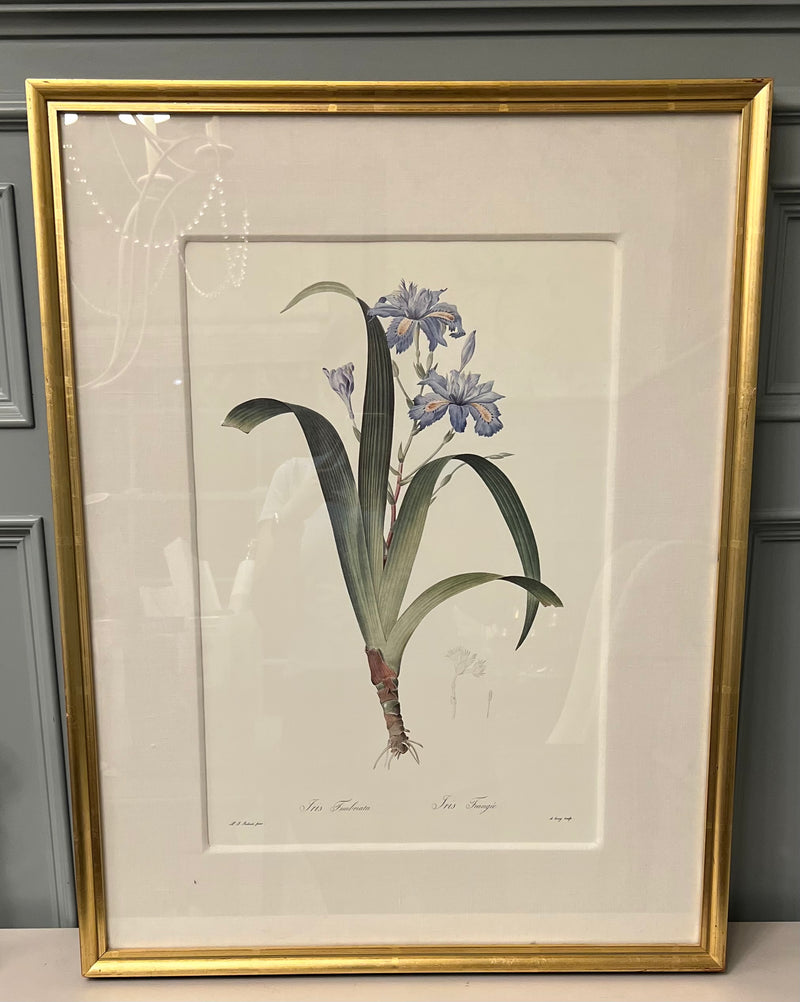 "Ever After Room" Botanical Art