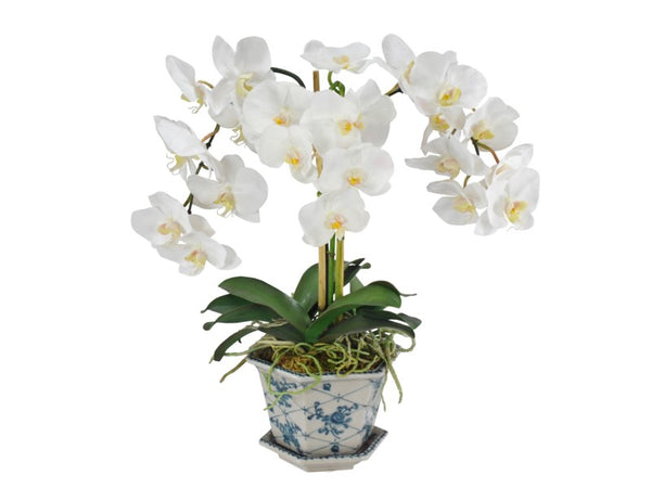 Orchid Cache Pot