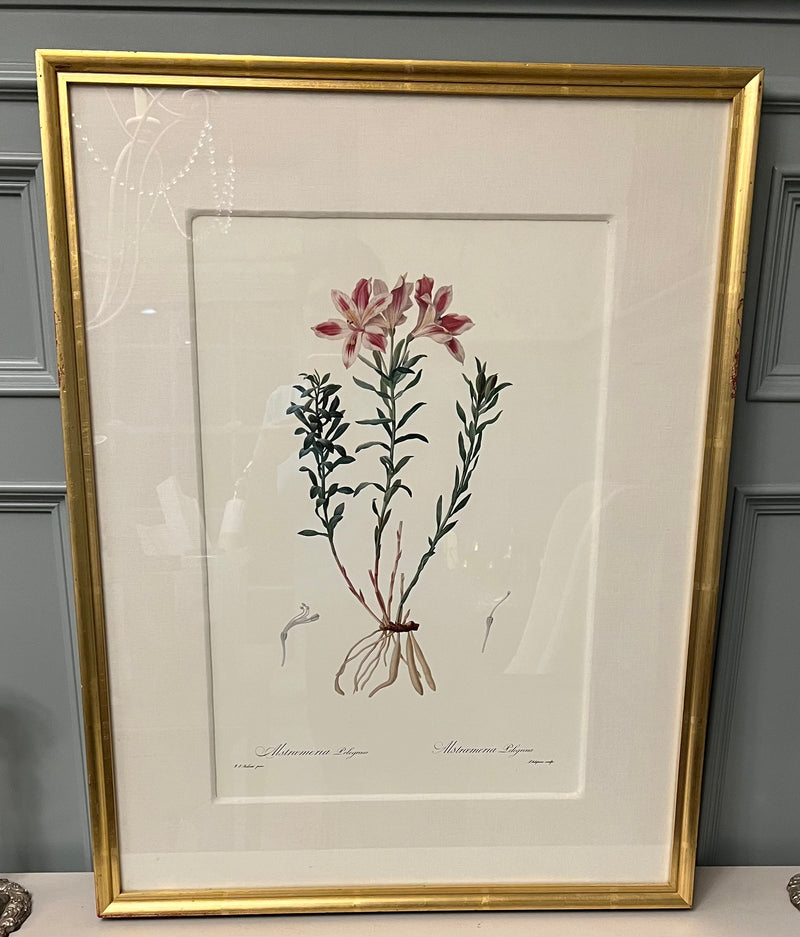 "Ever After Room" Botanical Art