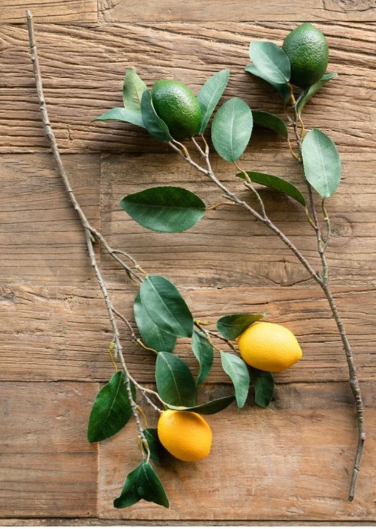 Citrus Branch, Lemon and Lime