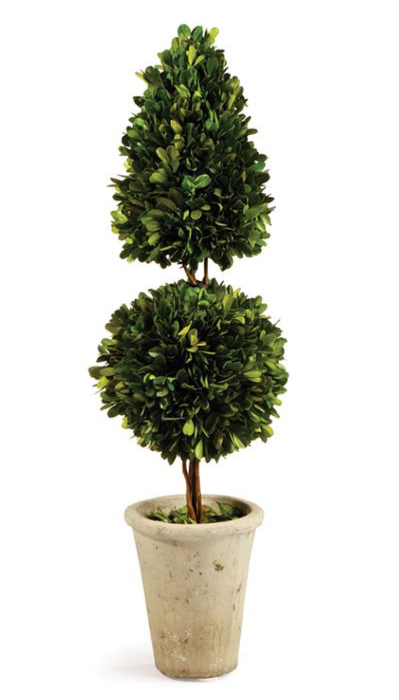 Boxwood Cone and Ball Topiary 25"