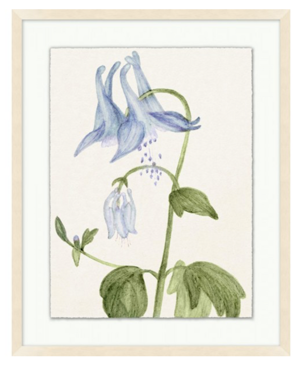 Vintage Floral Sketch Series