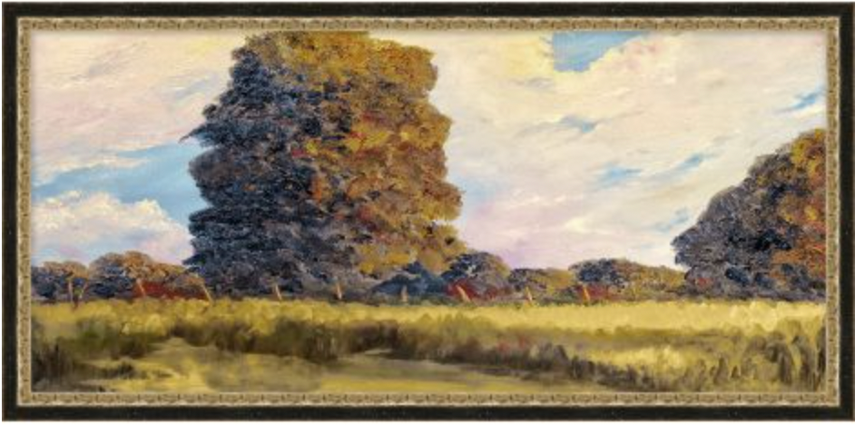 Transitional Study Collection I