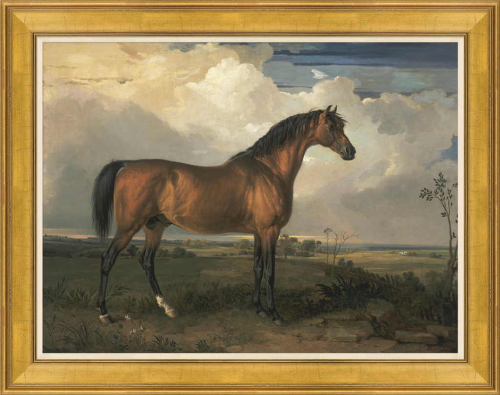 Champion Horses, Set of 2