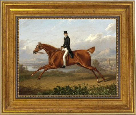 Galloping Gentleman