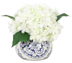 White Hydrangea in Blue and White Vase