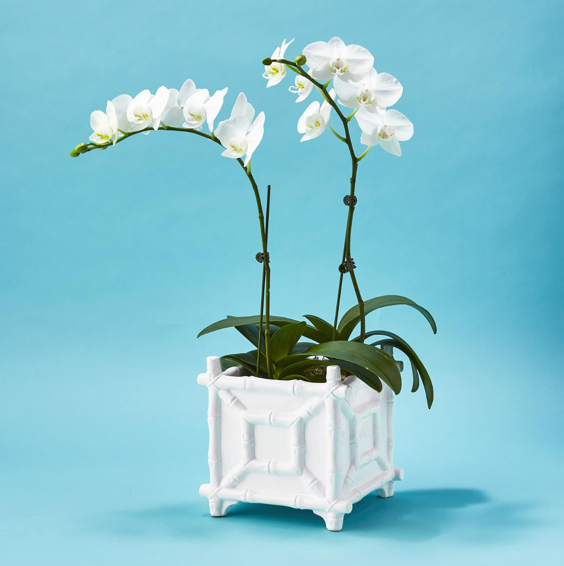 Hampton Faux Bamboo Fretwork Cachepot