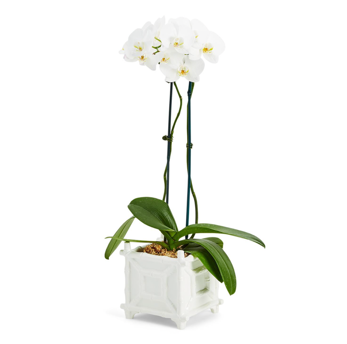 Hampton Faux Bamboo Fretwork Cachepot