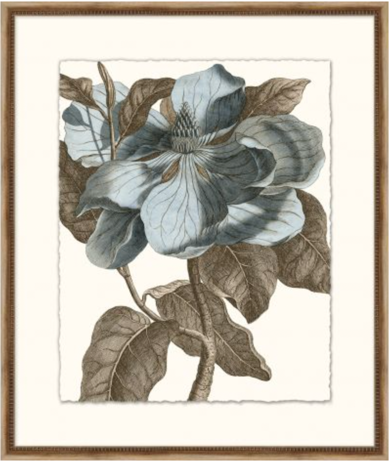 Azure Botanical Series