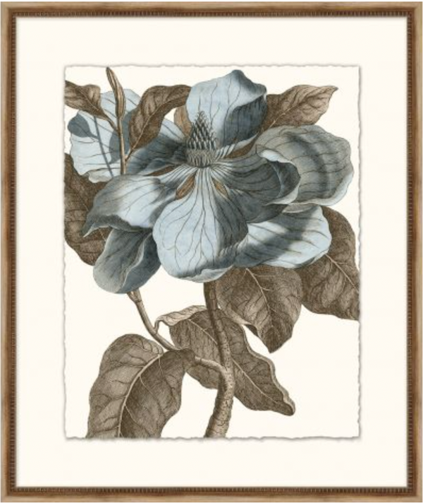 Azure Botanical Series