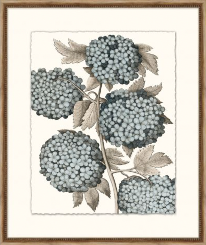 Azure Botanical Series