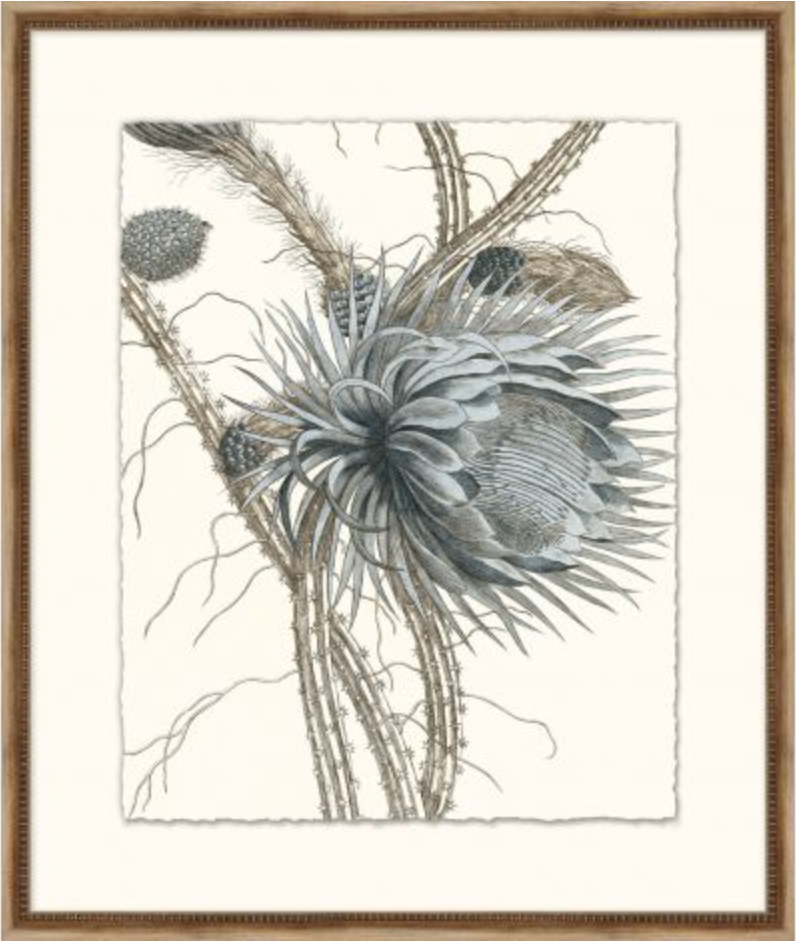 Azure Botanical Series