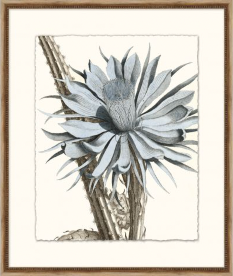 Azure Botanical Series