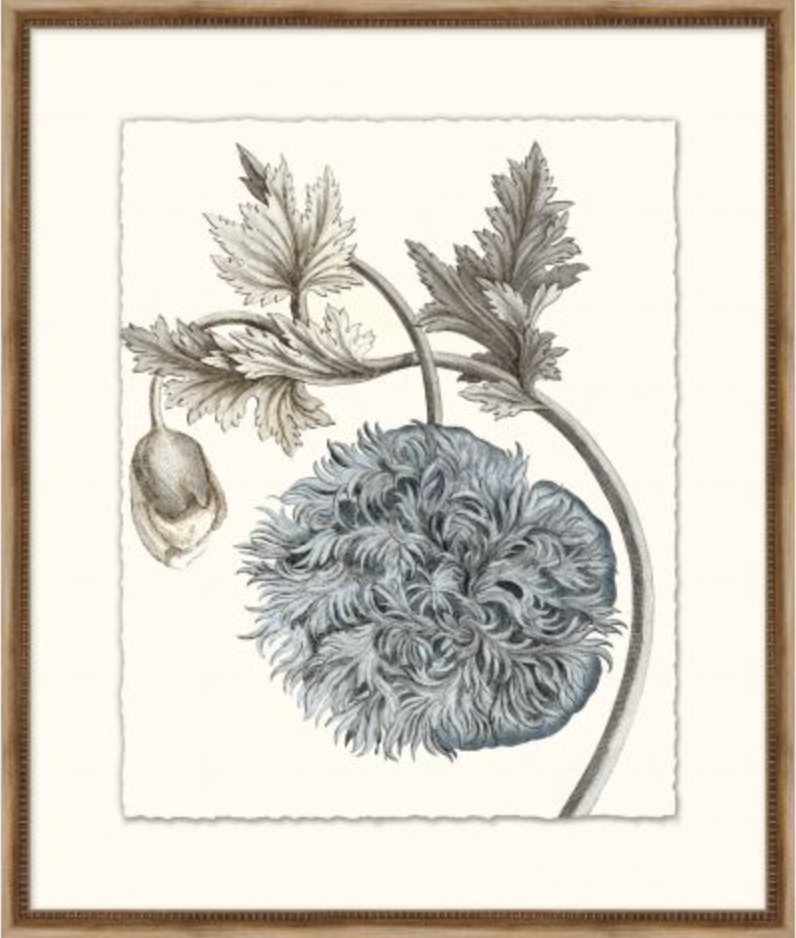 Azure Botanical Series