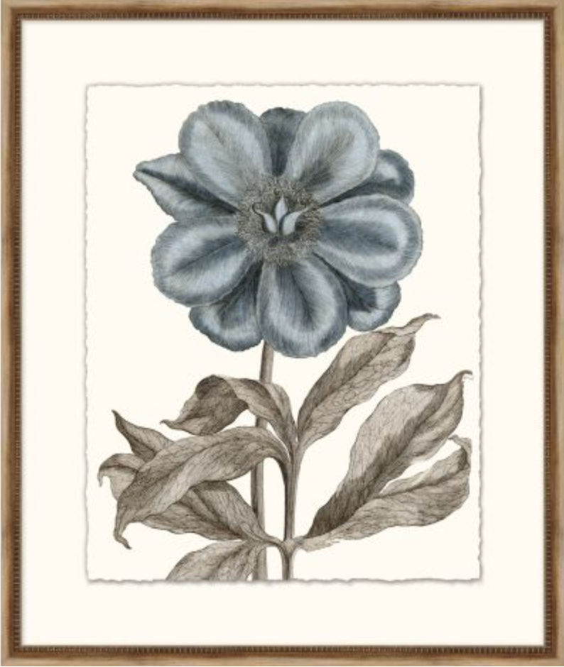 Azure Botanical Series