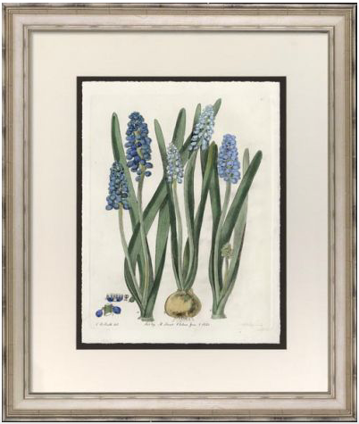 Blue Botanical Series