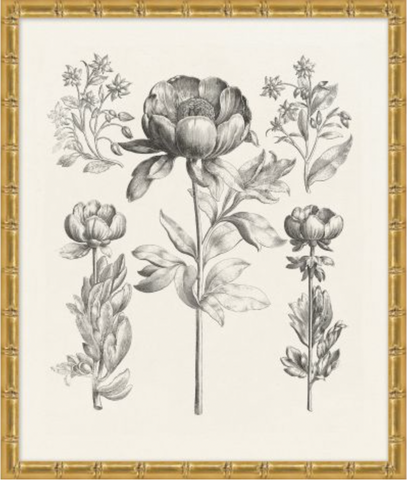 Bessler Study in Neutral Series