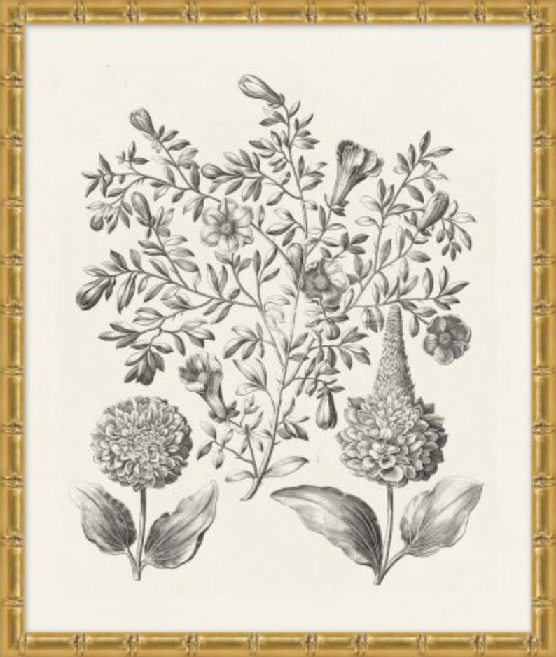 Bessler Study in Neutral Series